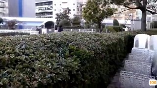 美国男人性感内裤⭕❌❌郑州二手客车69座